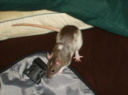 366b8660f171d848757398ba483f95a7413394f881422842b92b67f5eafe3006