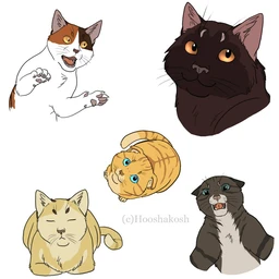 210f6a10a541e8cc6378123470ef0715dfb5424b19bf9ec136a7f75533b9a2c0