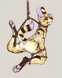 de8aad38e467b23f0565503004147816fc546d30d2002f85949746d6c5ecc648