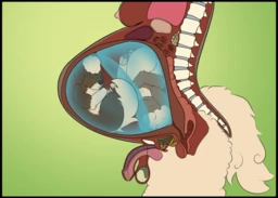 8254ee6557c8ebac17ec5619e793815139c77a1a8c80883c2a903cf446b688b9